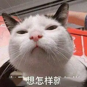 别人睡觉我不睡,诶,就是玩儿丨第116期表情包
