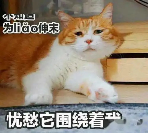 注意你长喝的这种饮品会引发脑出血
