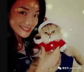 胡歌鹿晗和吴磊的男友力,全都献给了ta们
