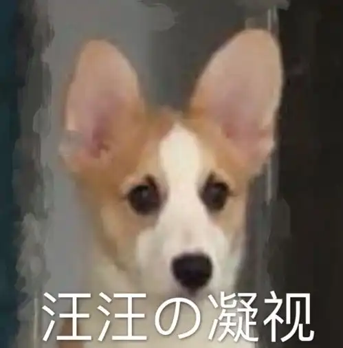 我家狗眉毛为什么这么浓听楼里姐妹的做了表情包

