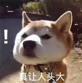 最全沙雕狗子表情包合辑年度最傻狗子都在这儿了
