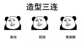 宠物圈3连表情包,总有一个你会右键保存搜狐宠物搜狐网
