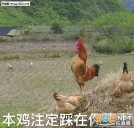 性取向给你打弯表情包图片突然笑死表情包图片下载乐游网游戏下载
