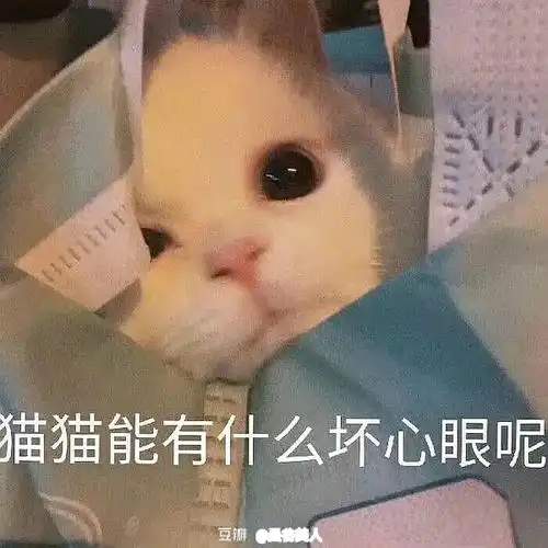 在座各位在学日语的有app推荐吗
