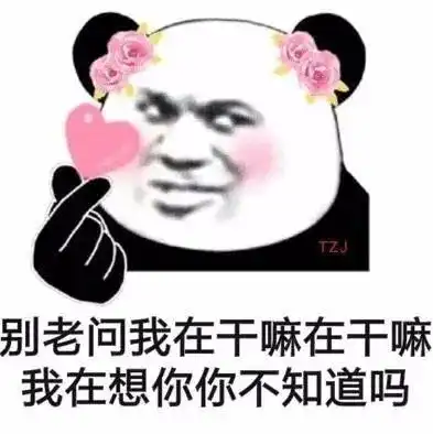 日常沙雕表情包别老问我在干嘛

