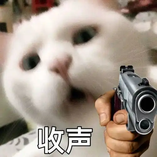 你再说一句
