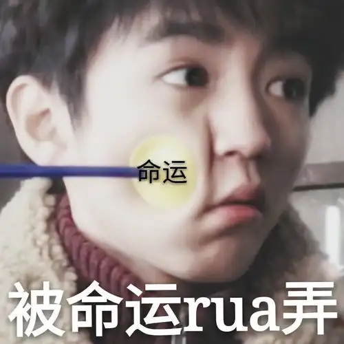 王俊凯
