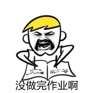 补作业表情包
