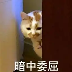 我一个人在南宁生活得很好,为什么要结婚
