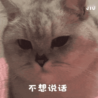 表情包欢迎来到姐姐的鱼塘
