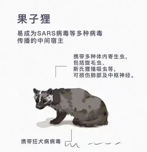 你们认为很补的各种野生动物,看一下有多少病毒吃没有多好吃毒倒是非常毒内容
