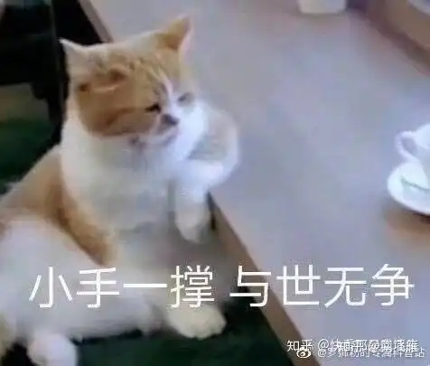 三星galaxywatchactive2的使用体验怎么样,有哪些优缺点
