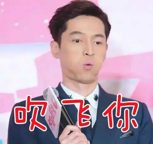胡歌表情包
