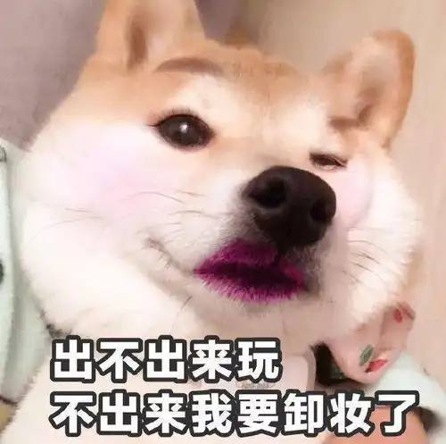 合集汪星人表情包
