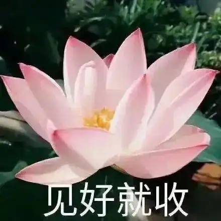 表情包还不哄我你自己看着办
