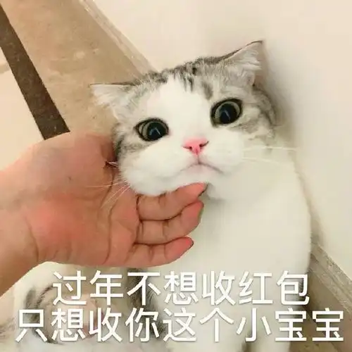 分享一组过年讨红包的表情包
