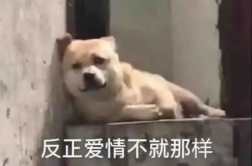 表情包反正爱情不就那样
