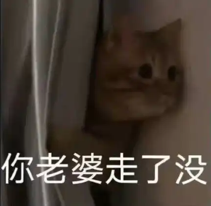 你老婆走了没猫咪表情包猫咪老婆表情
