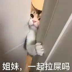 脂肪肝到肝癌只需4步,别再把它不当回事了
