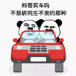 买车吗表情包
