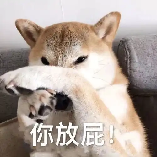 1231热门表情包今年最后一次表情包,新年快乐
