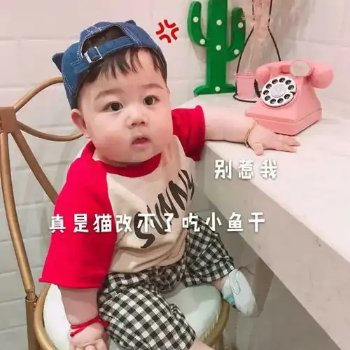 大q宝合集我都在你家楼下等你啦
