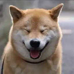 我明天下午要回家,舍友你为什么提前不说我现在不是提前
