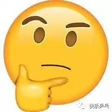 业余乒乓球选手的球包里藏着什么好装备带你一看究竟

