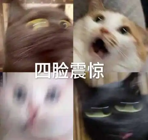 撩直男专用的表情或许你想一起打个游戏吗我电竞少女
