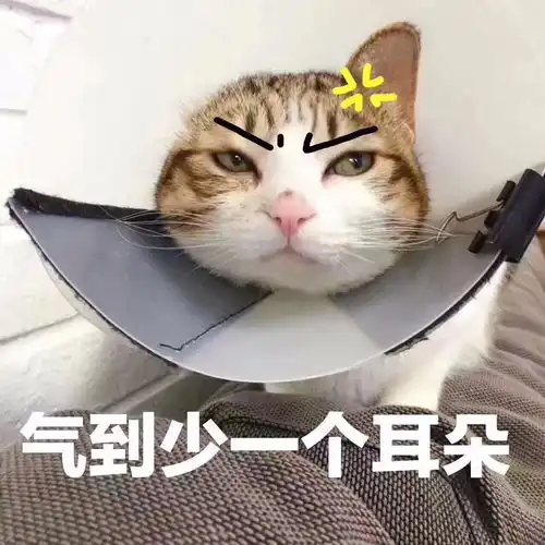 .收藏夹
