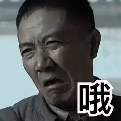 合集亮剑表情包
