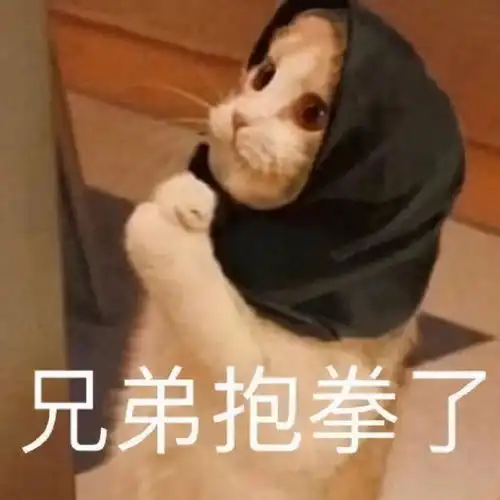 可爱沙雕表情包零下几度,可别冻坏了我的宝贝
