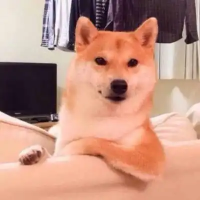 等我有钱了的搞笑短句