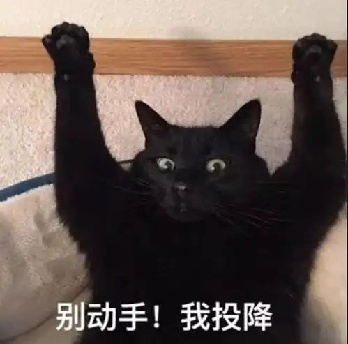 吃了广西驻京办,我要拉踩螺蛳粉了丨哪家驻京办值得吃
