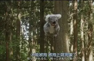 比太子妃还穷的神剧,你肯定见过它的表情包
