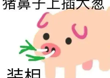 表情包又是认真干饭的一天
