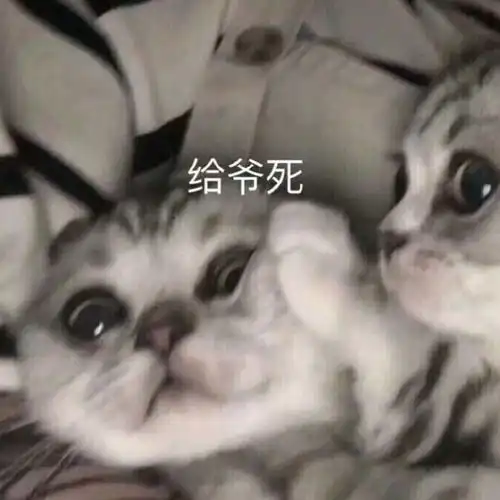 热门表情包图片你的小可爱,已经睡着了
