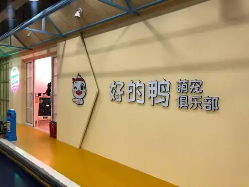 好的鸭萌宠俱乐部落户松原啦柯尔鸭小香猪小羊驼等你来撸
