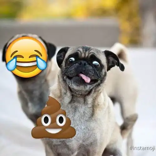 用表情挡脸的那个美图软件是什么
