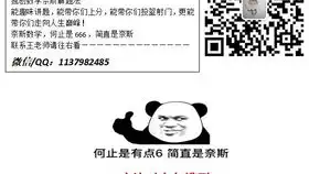 奈斯数学王老师讲中考数学压轴题62019武汉中考数学压轴题武汉加油
