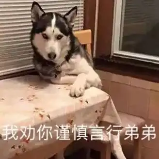表情包我就是要明目张胆的喜欢你,不然是要怎样啊
