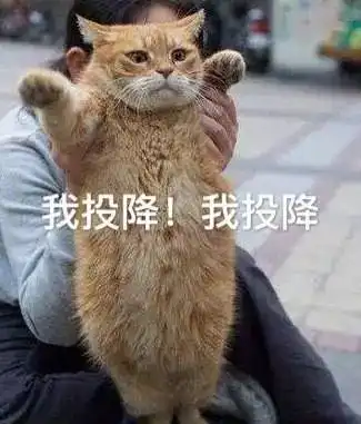 斗图小表情1.13
