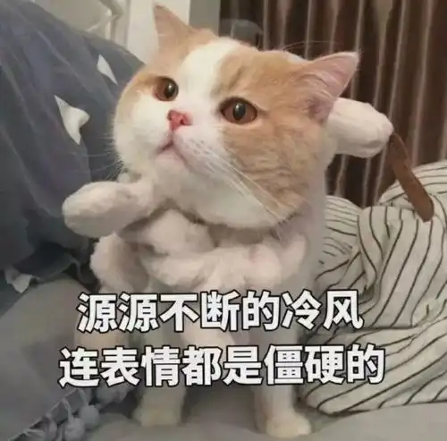 很酷很可爱的文案
