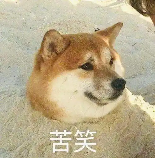 一波柴犬表情包,拿好不谢
