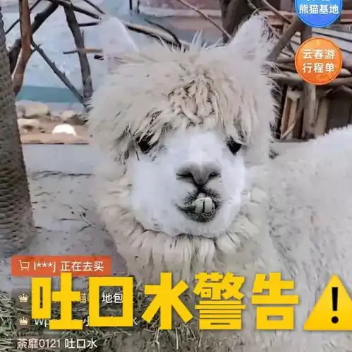 中国网友眼中,万物皆可上链接
