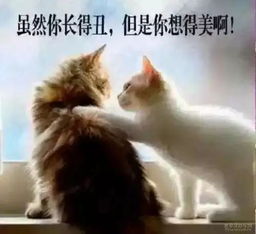 太经典了研究生都容易产生过的错觉,你中了几枪
