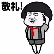 升国旗礼毕表情包图片
