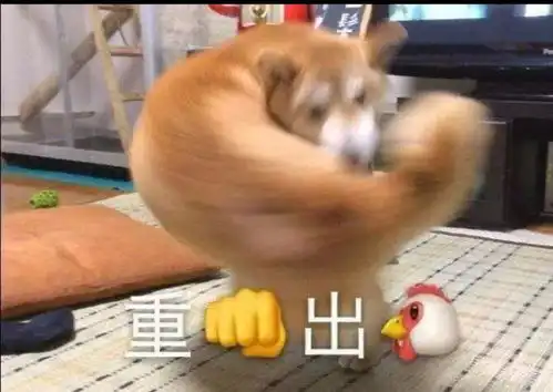 表情包堪称封神的表情包吖

