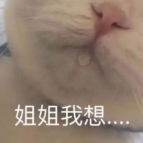 猫咪表情包投降,投降,我投降

