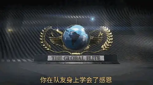 有哪些关于csgo的表情包
